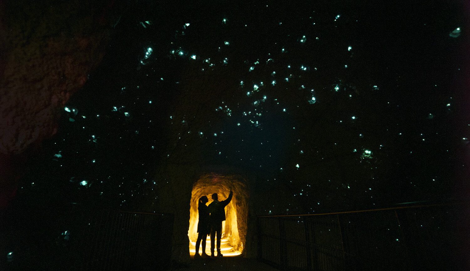 Rotorua Glow Worm Walk