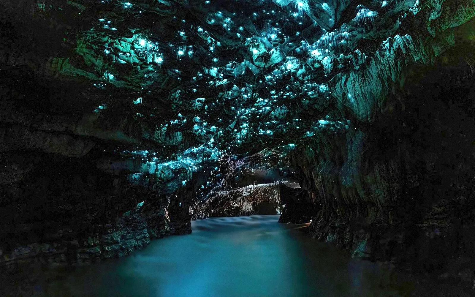 Can You See Glow Worms in Winter