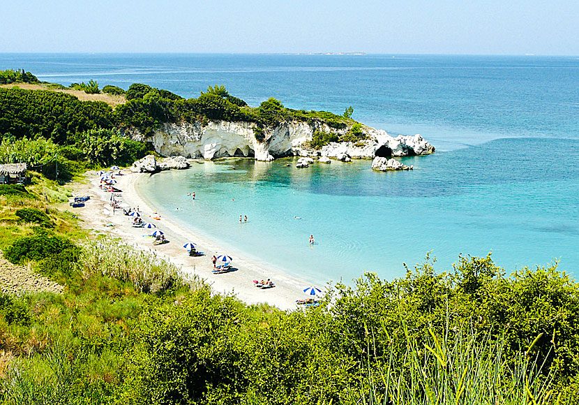 Lassi Coast