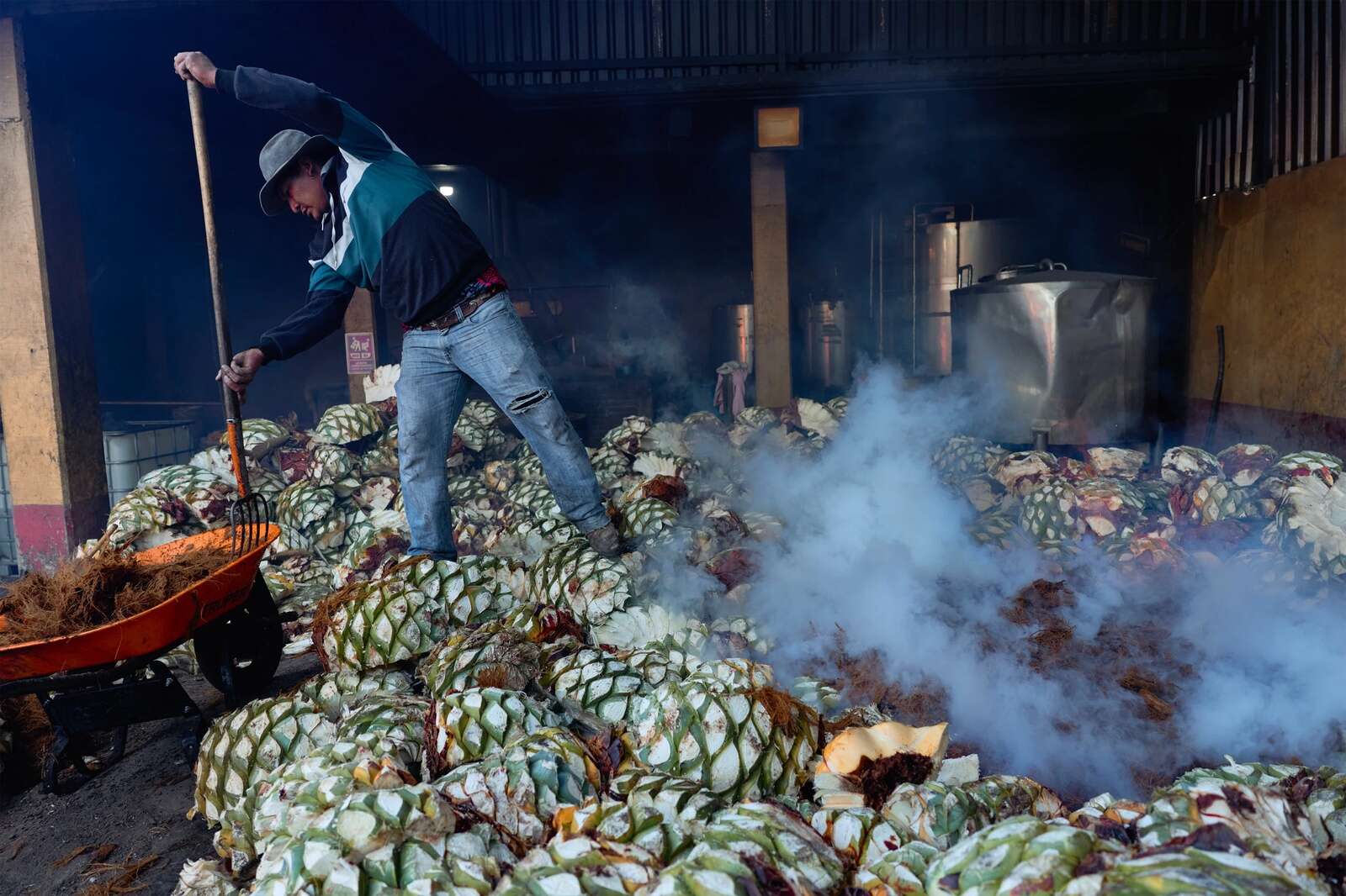 Mezcal Tour Oaxaca Prices