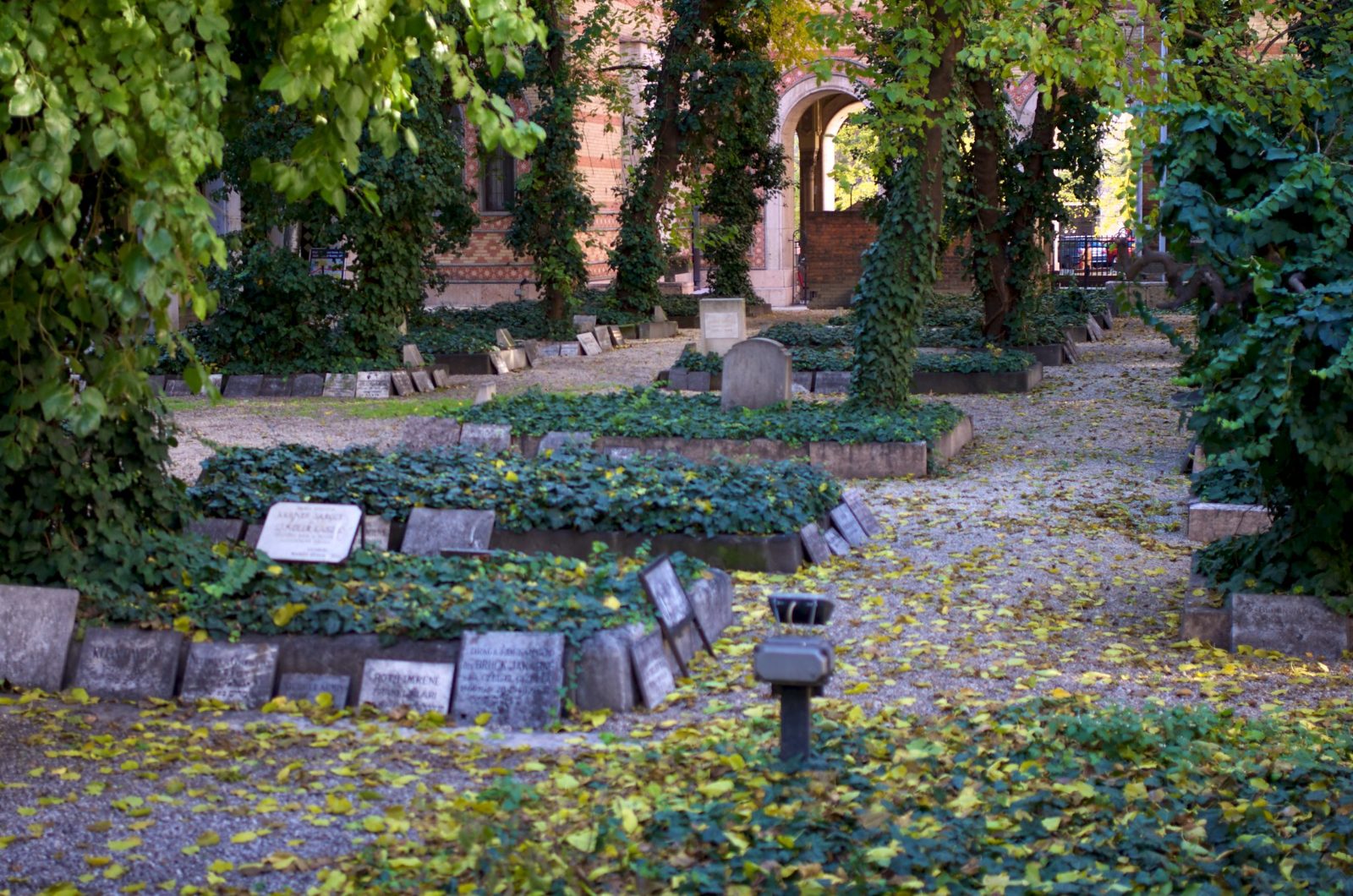 Synagogue Cemetery