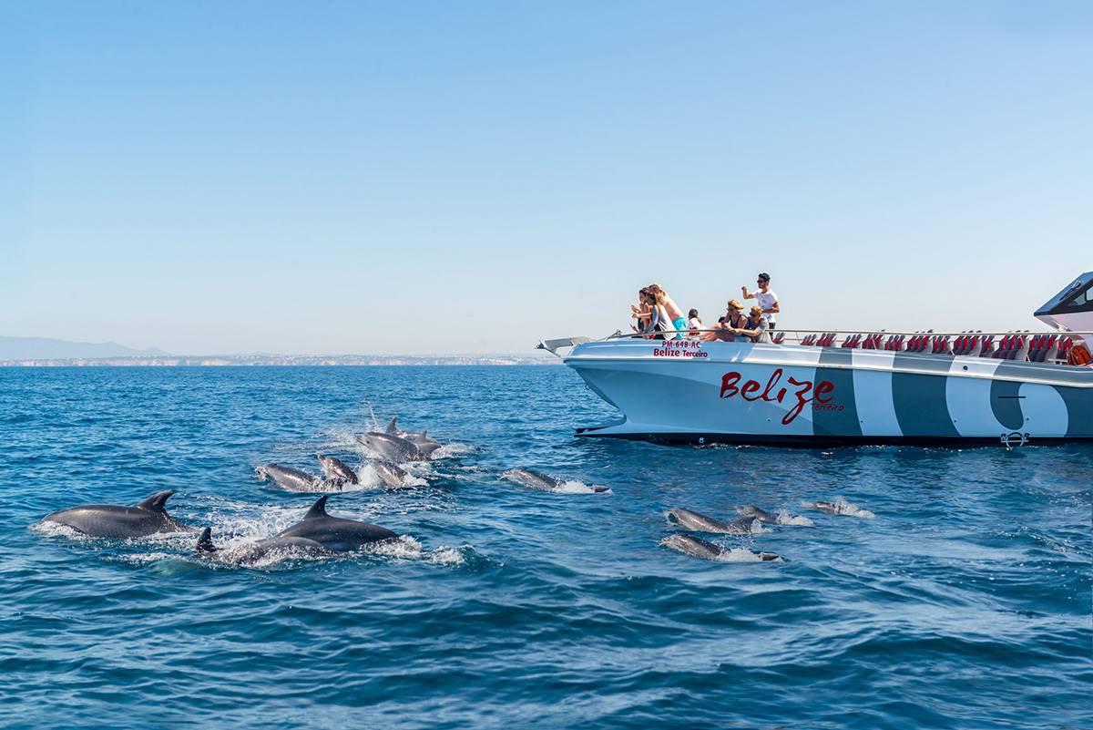 Distance From Faro to Albufeira