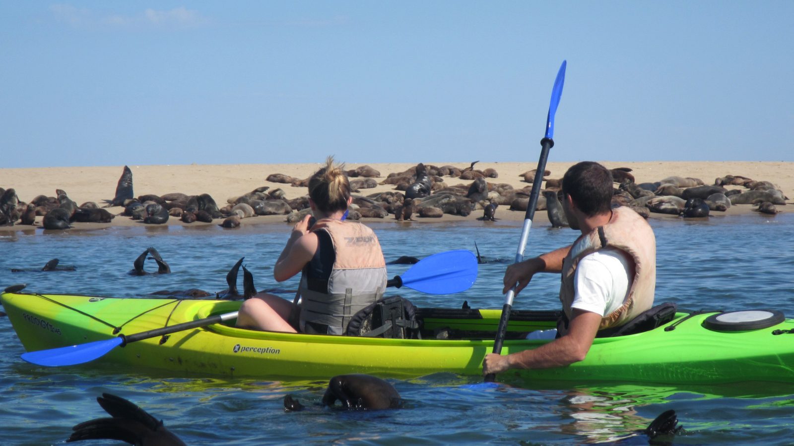 Pelican Point Kayaking Reviews
