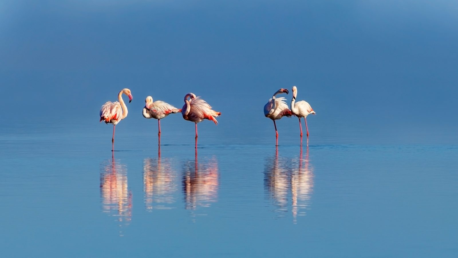 Walvis Bay Lagoon Edge
