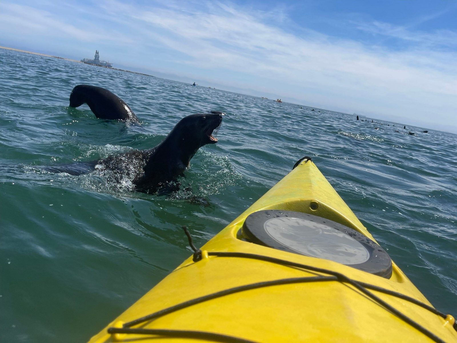 Pelican Point Kayaking Photos
