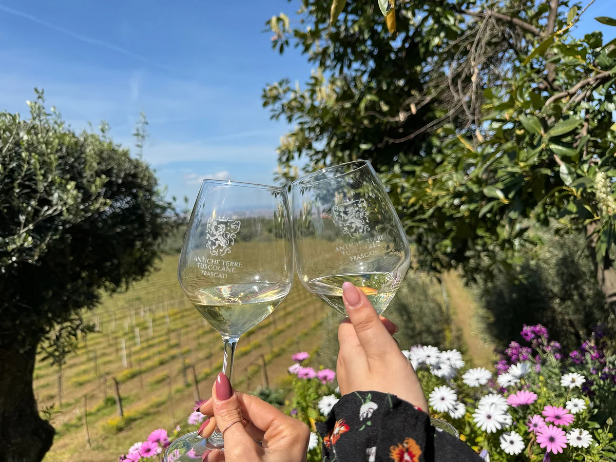 What Does Frascati Wine Taste Like