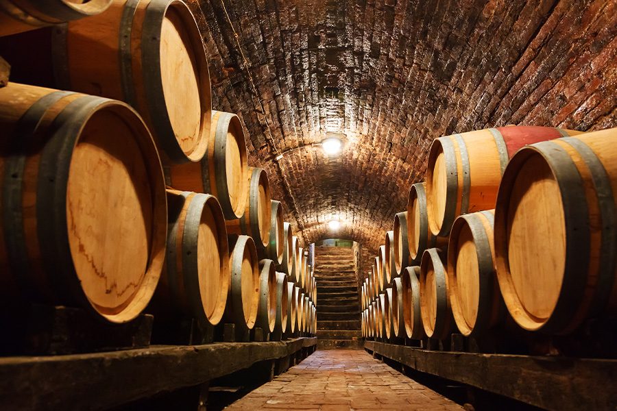 What to Expect on a Wine Tour