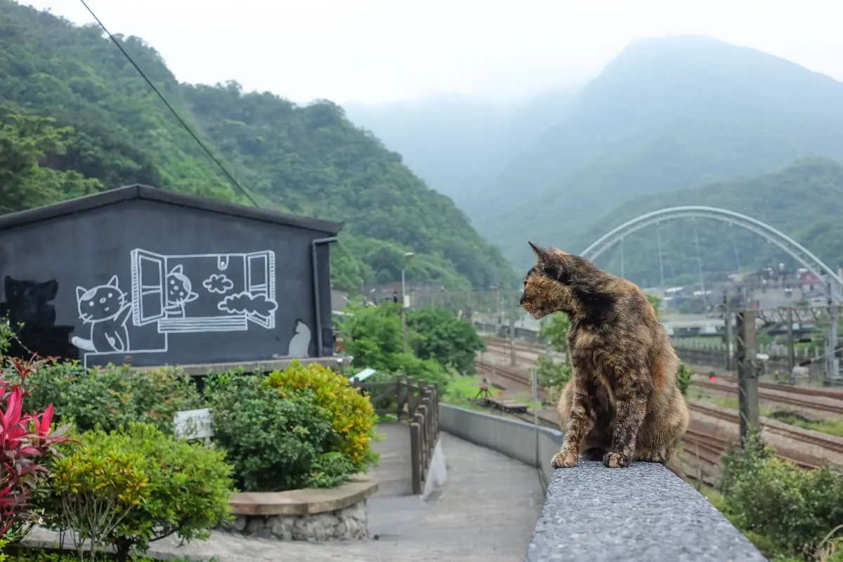 Houtong Cat Village