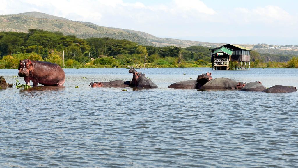 Lake Naivasha
