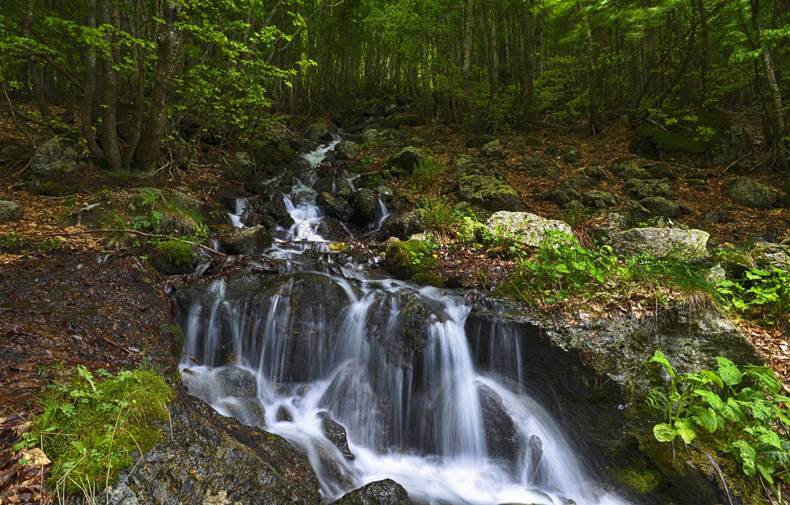 Vevčani Springs