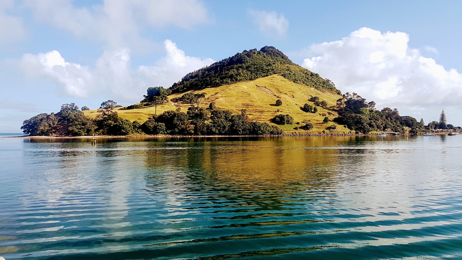 Tauranga Harbour