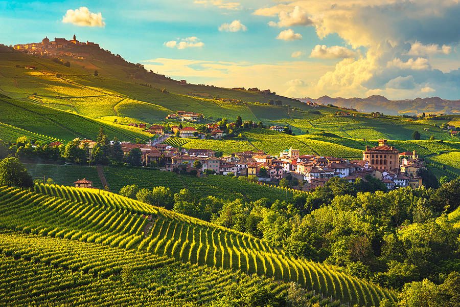 Barolo Village