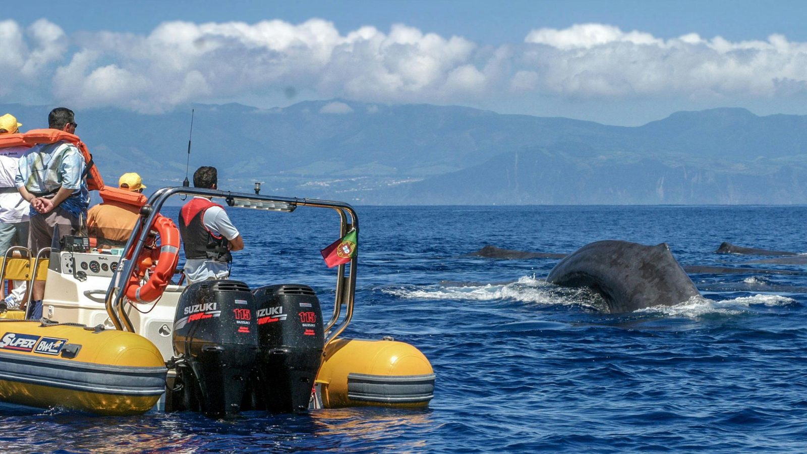 What to Wear During Whale Watching