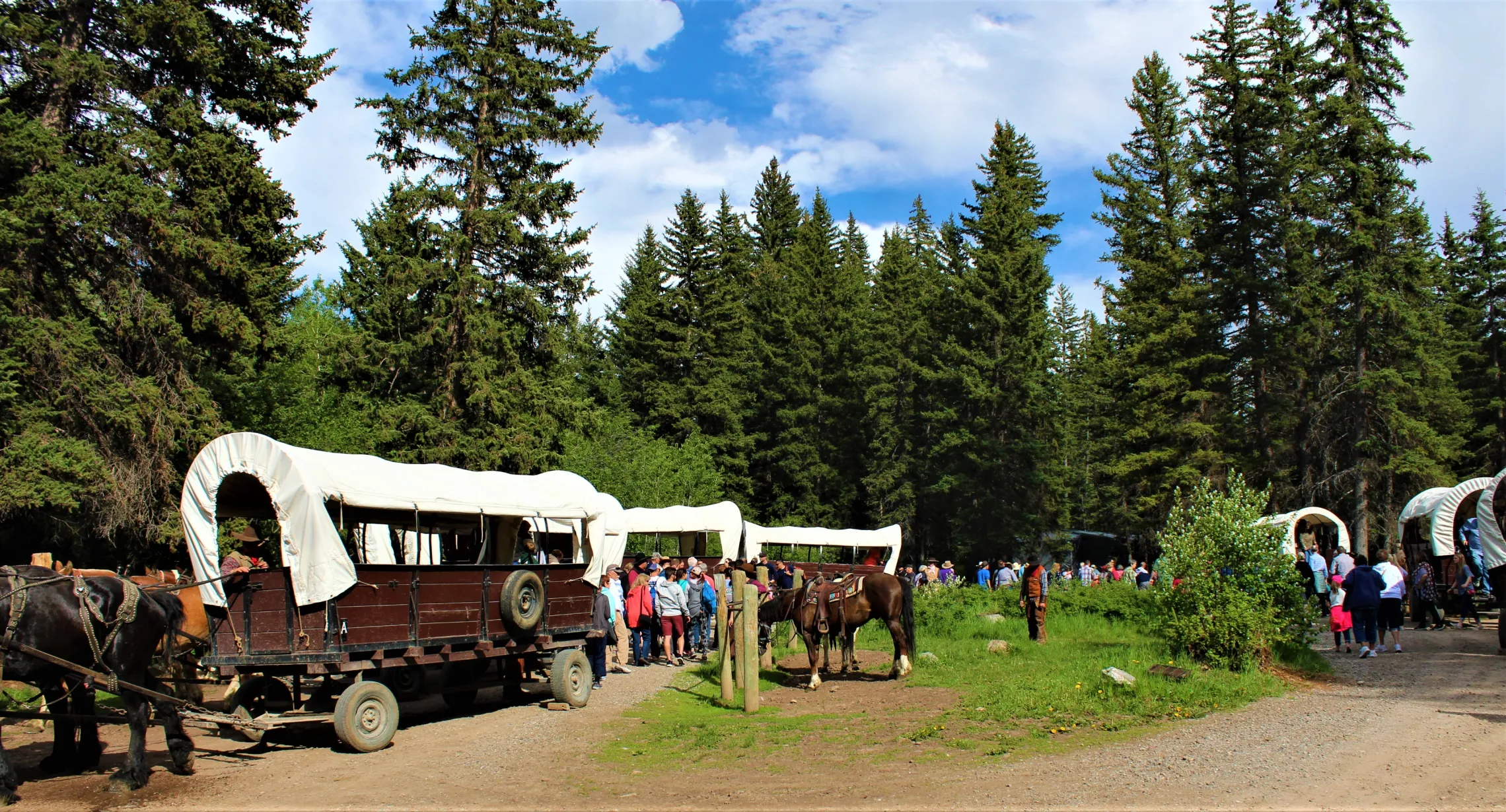 Best Chuck Wagon Dinner Jackson Hole