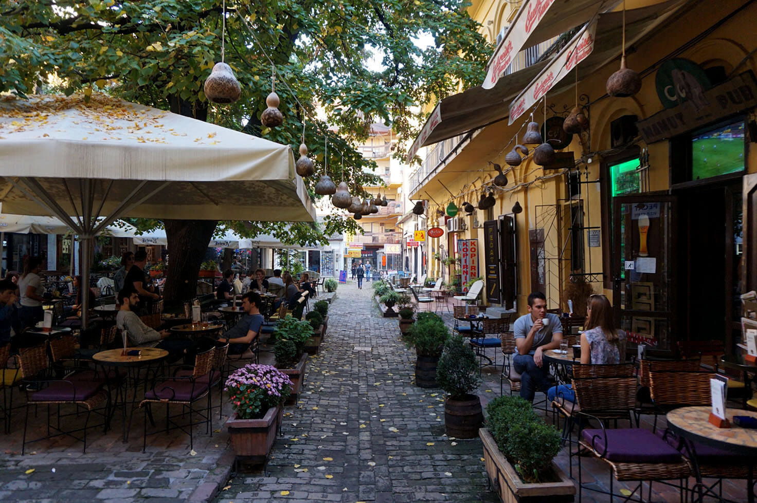 Your experience at Novi Sad Day Trip From Belgrade