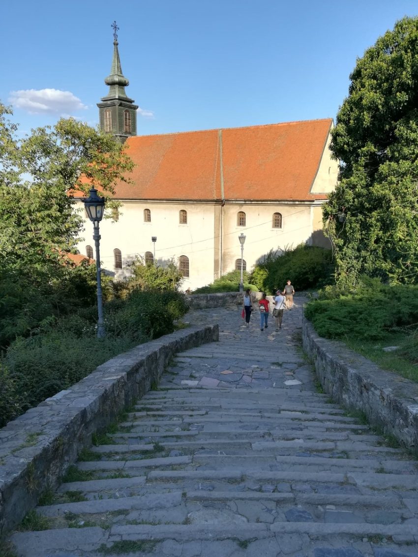 Arrival at Petrovaradin