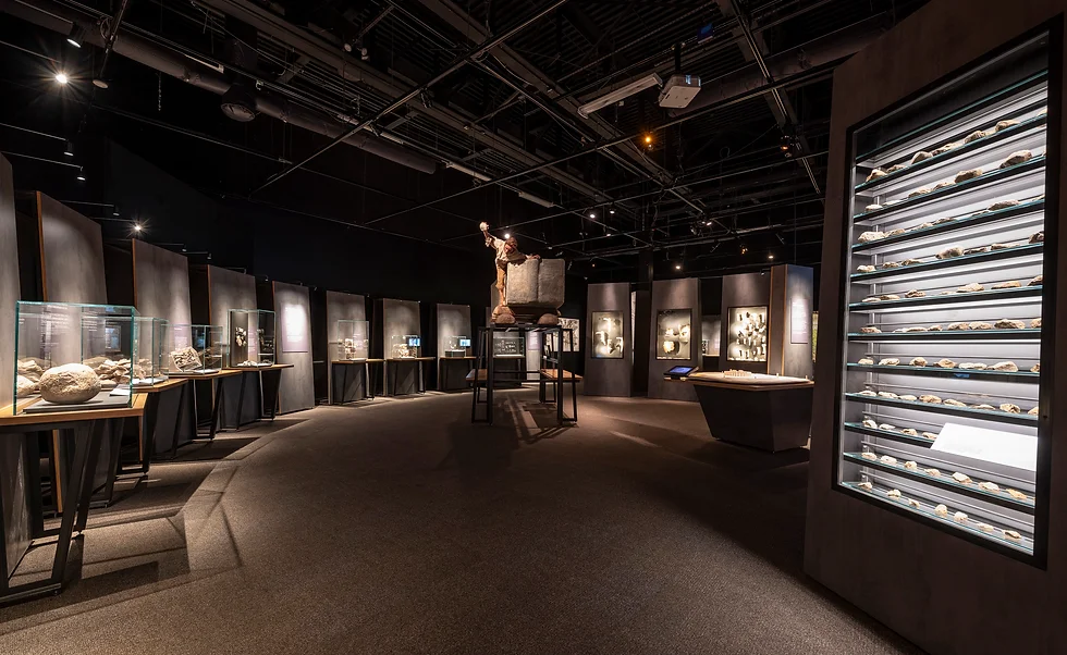 Exhibition Space