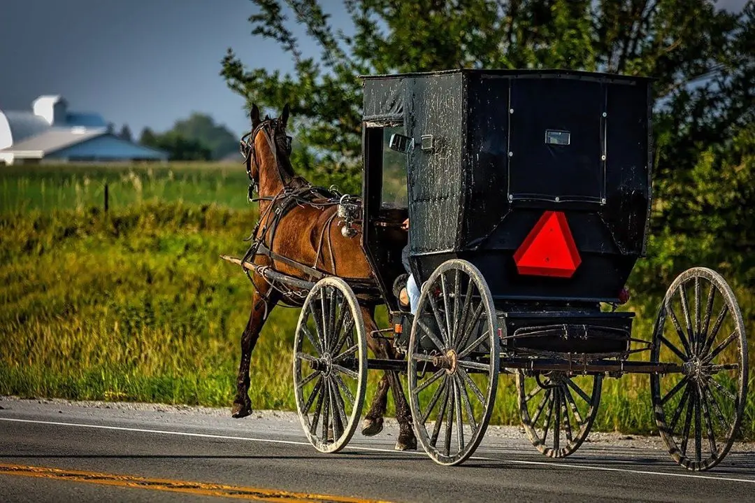 Your experience at Amish Farm Tour Lancaster Pa