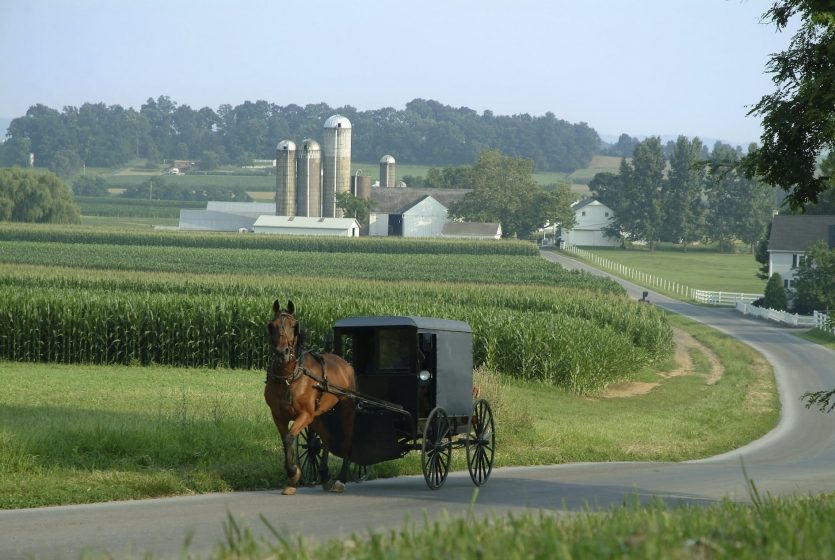 Amish Farm Tour Lancaster Pa