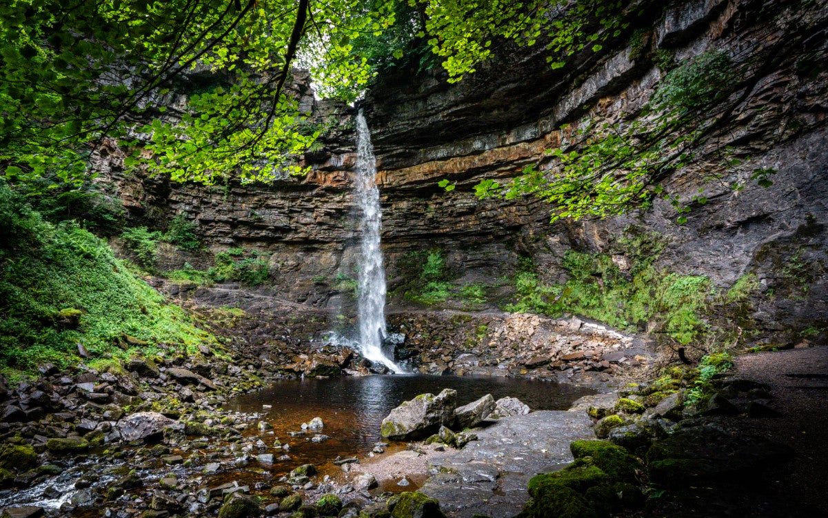 Hardraw Force