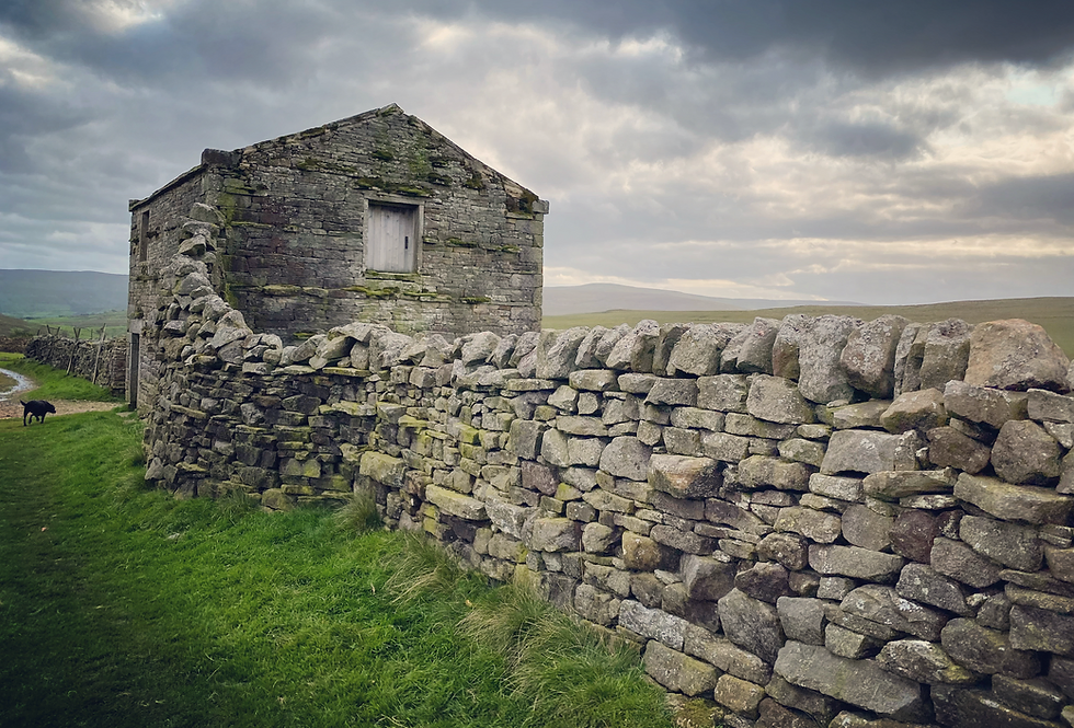 Your experience at Yorkshire Dales Tour From York