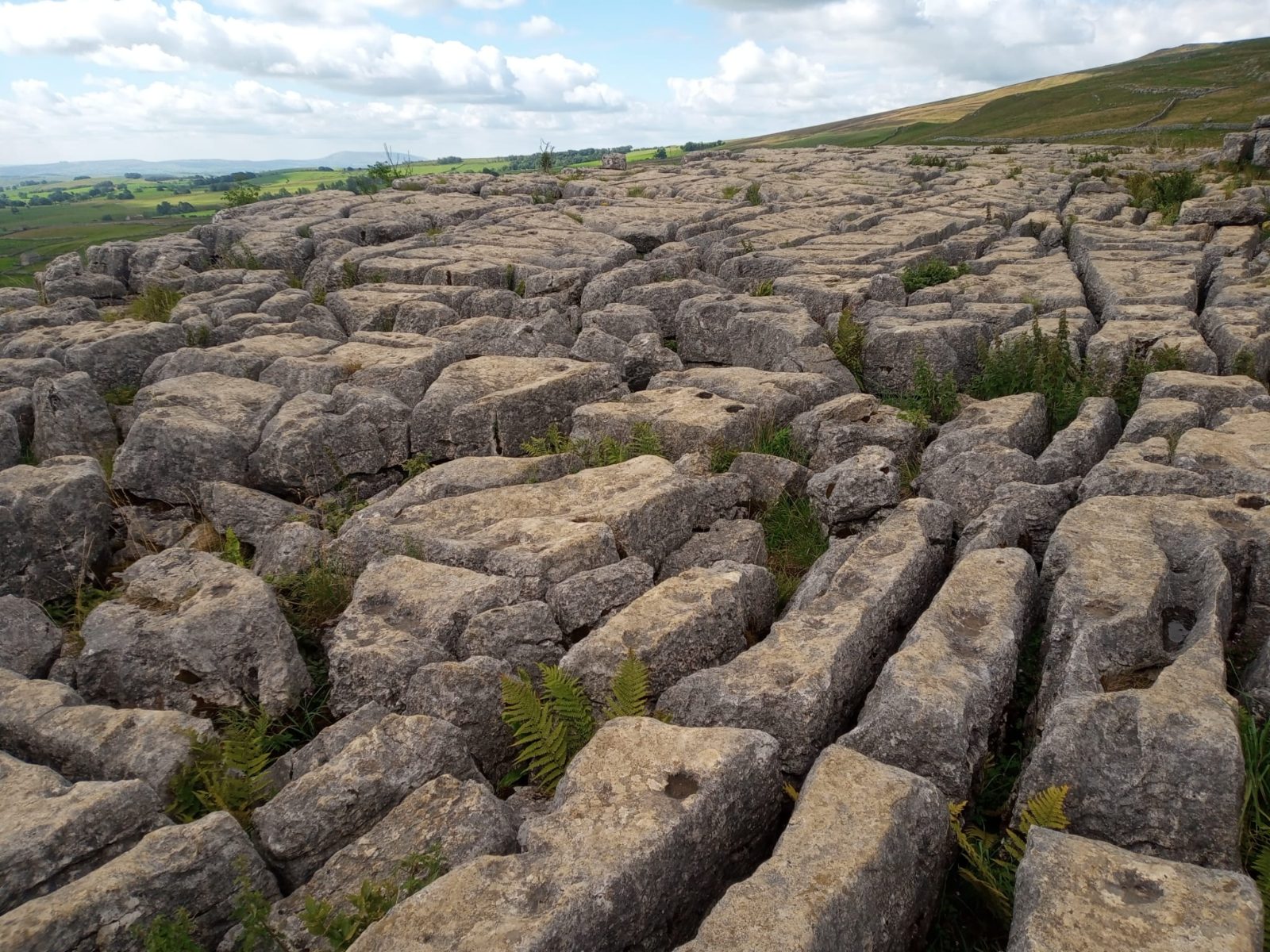Yorkshire Dales Tour from York