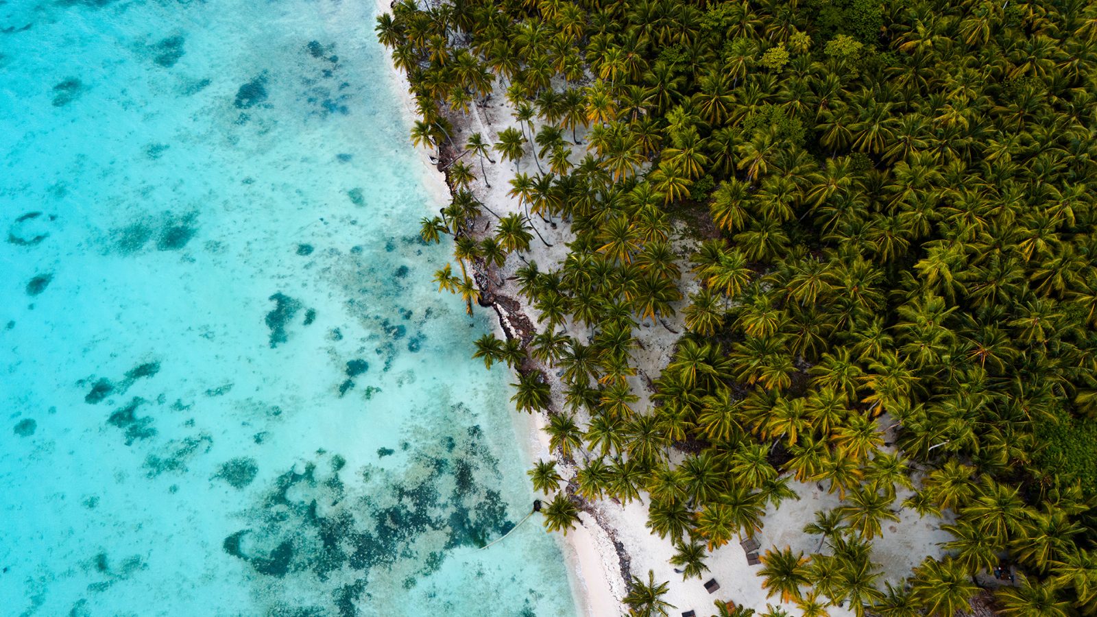 Saona Island Catamaran Tour Overview