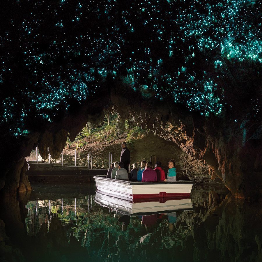 Tauranga Glow Worm Kayak Tour Experience