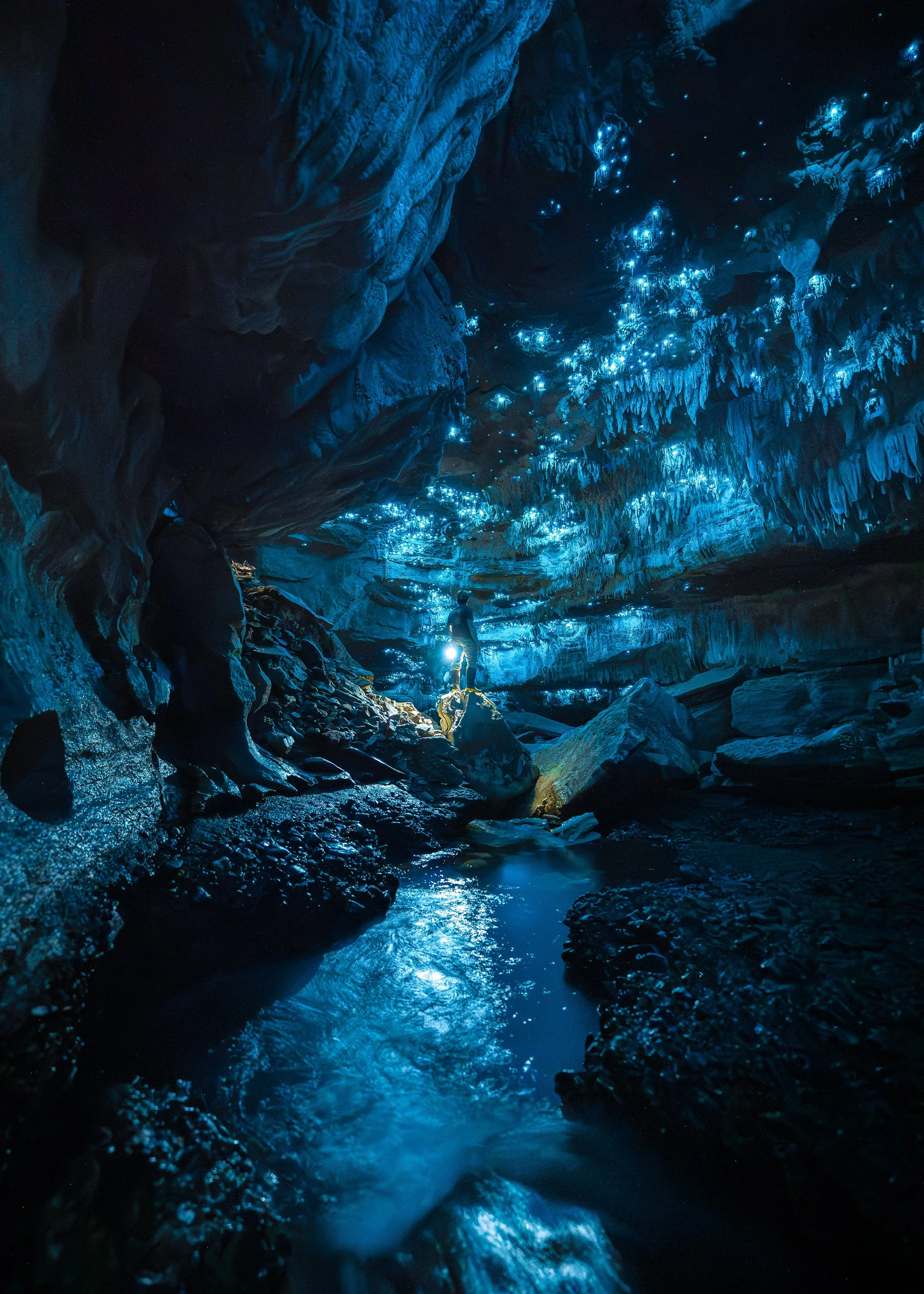 Bioluminescent Canyon