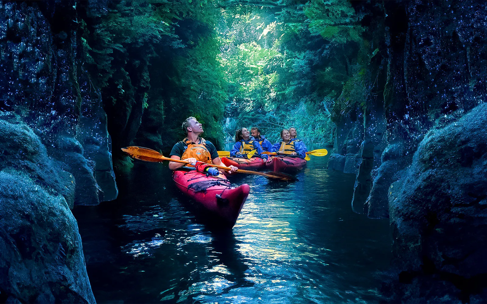 Your experience at Tauranga Glow Worm Kayak Tour