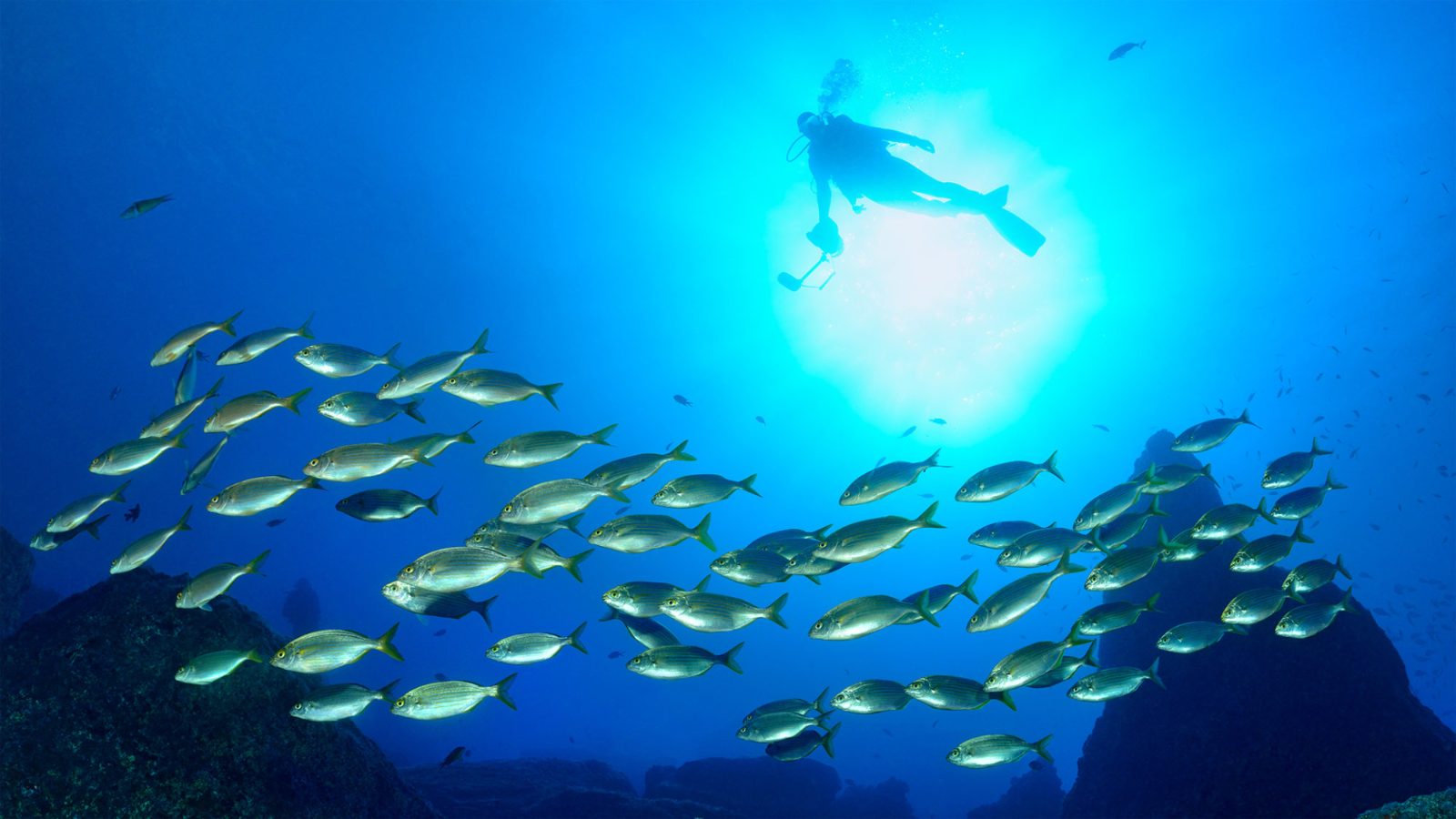 Underwater Marine Trail
