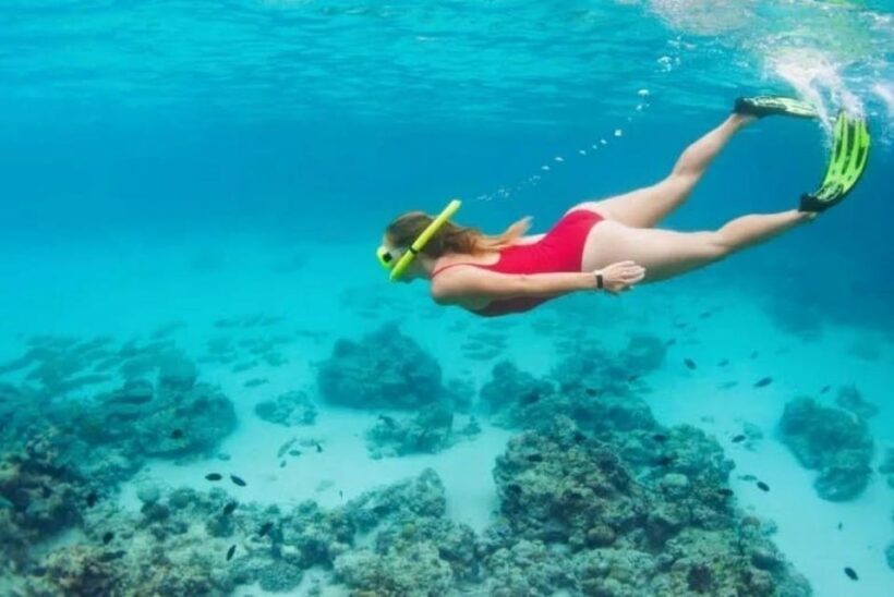 Garajau Snorkeling