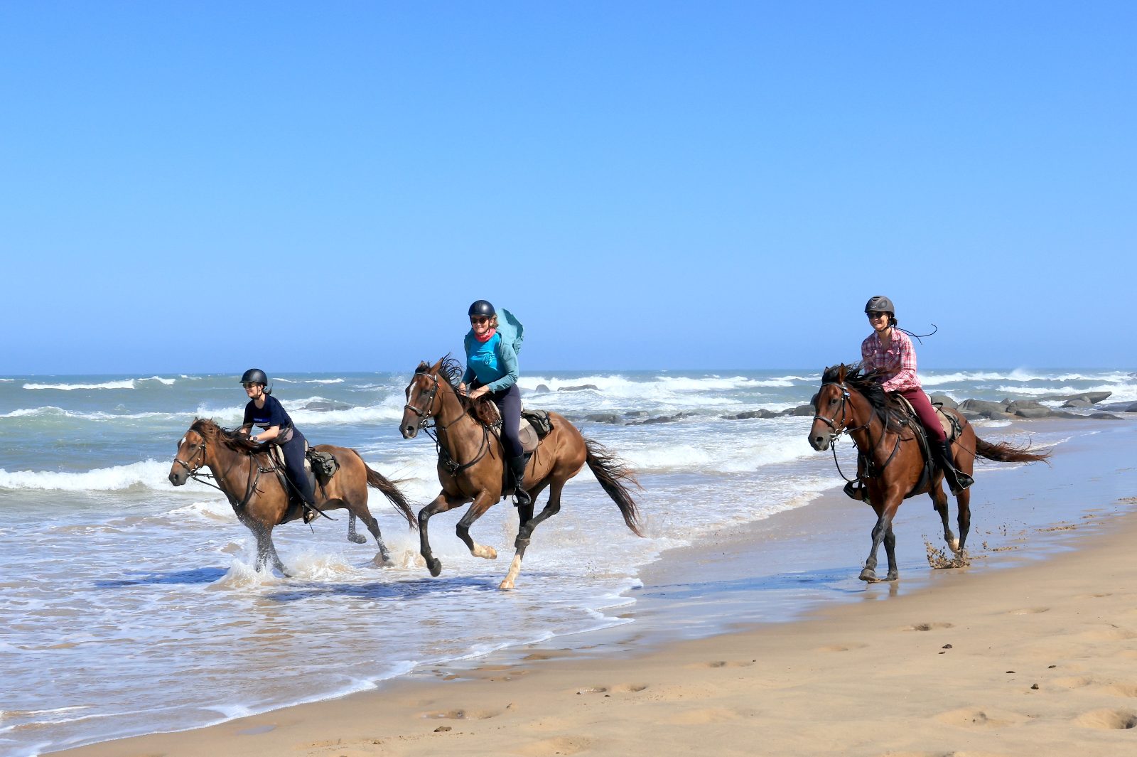 Your experience at Comporta Horseback Riding