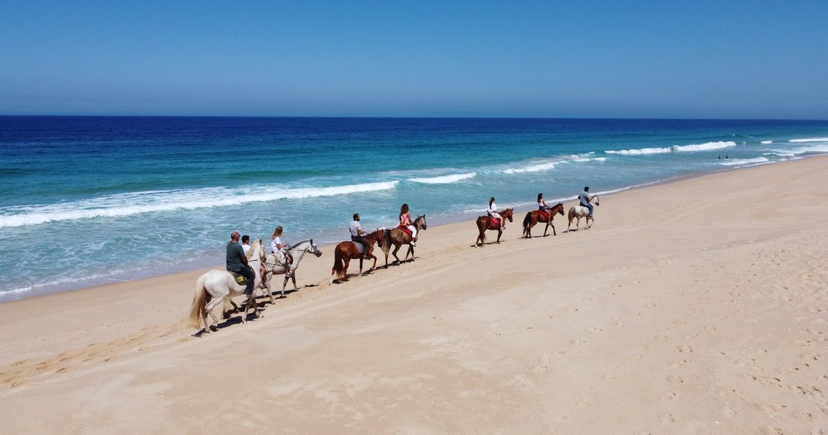 Comporta Horseback Riding