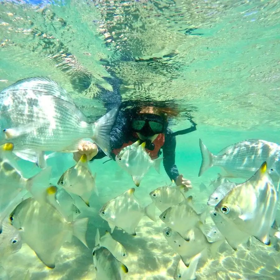 Wave Break Island Snorkeling
