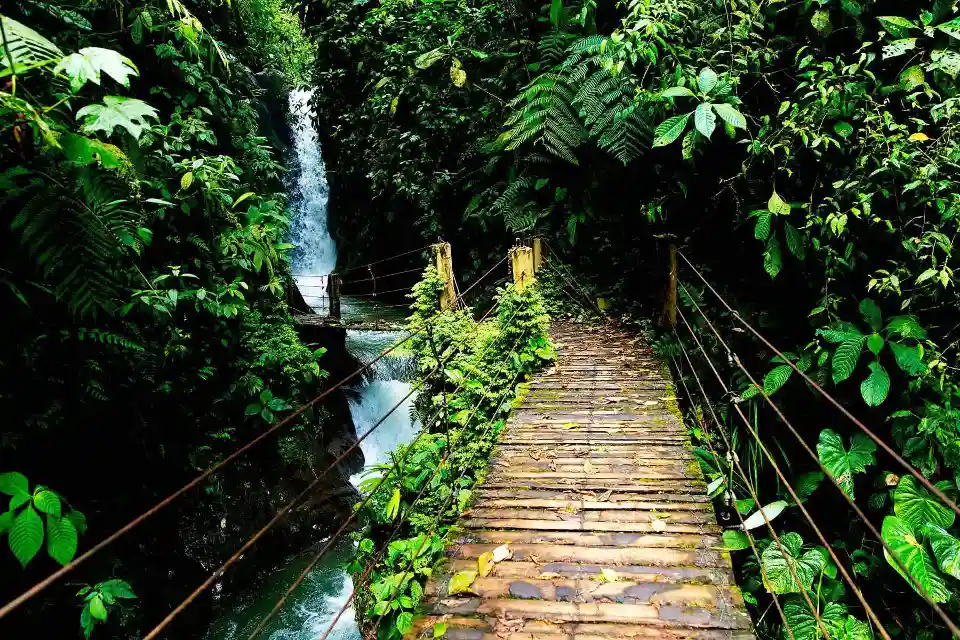 Mindo Day Trip From Quito