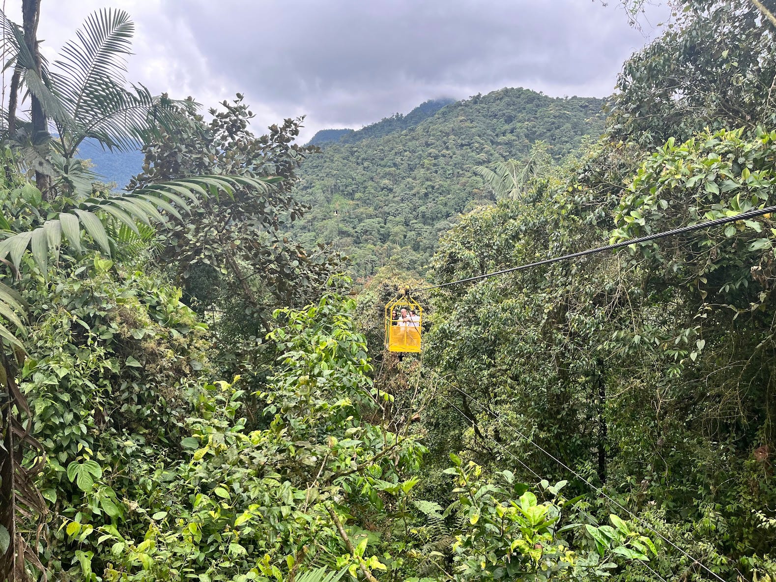 Your experience at Mindo Day Trip From Quito