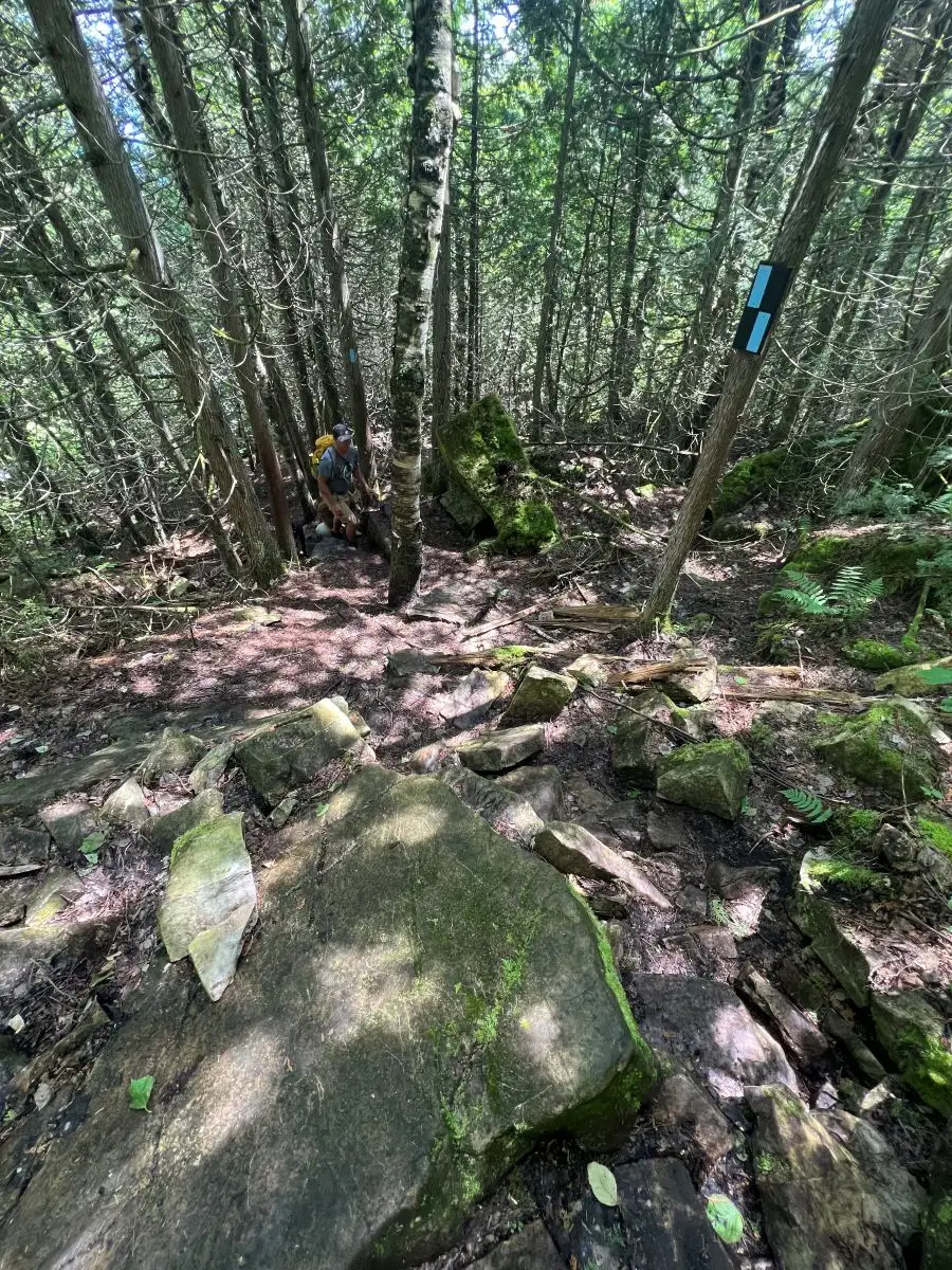 Your experience at Bruce Peninsula Tour From Toronto