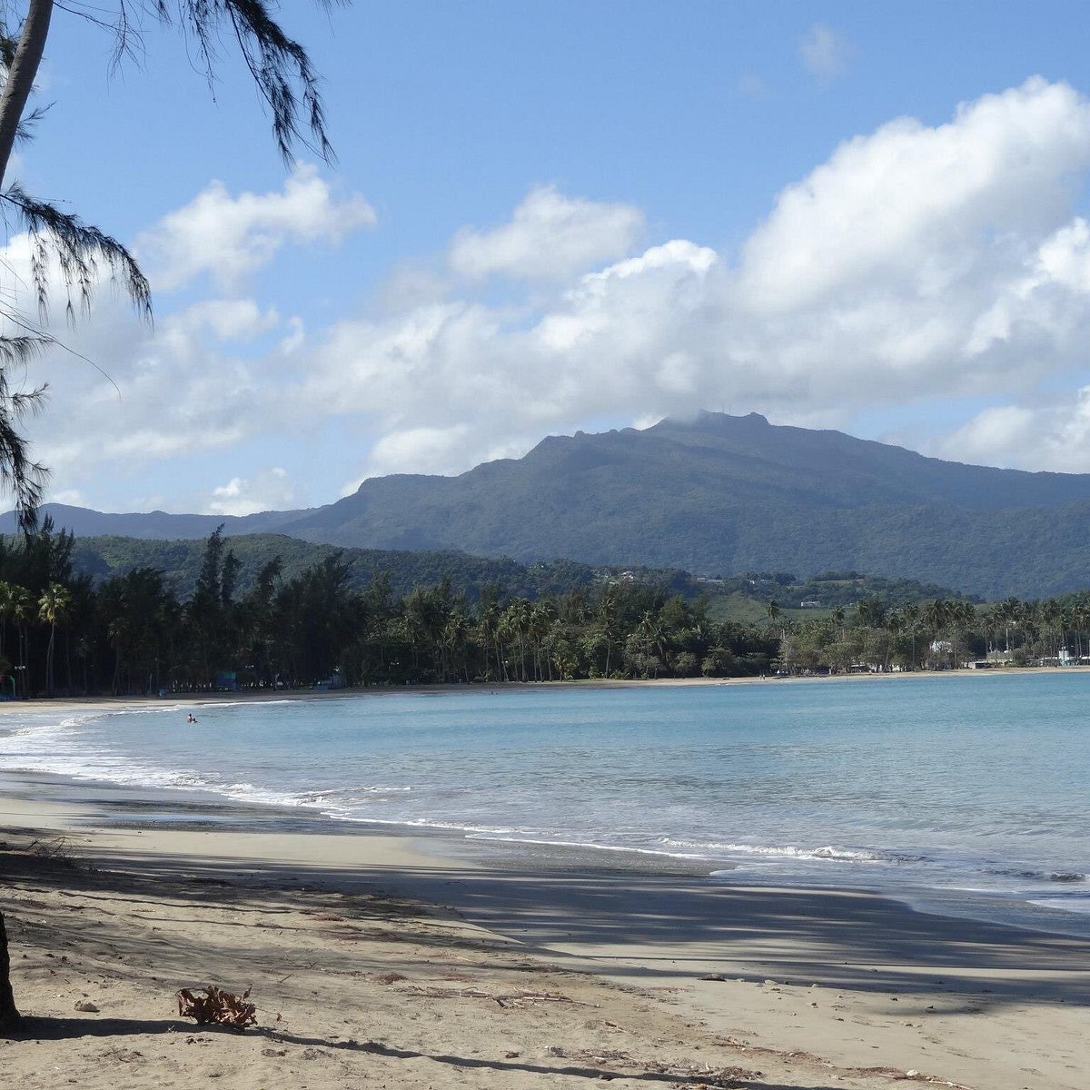 Blue Flag Waters