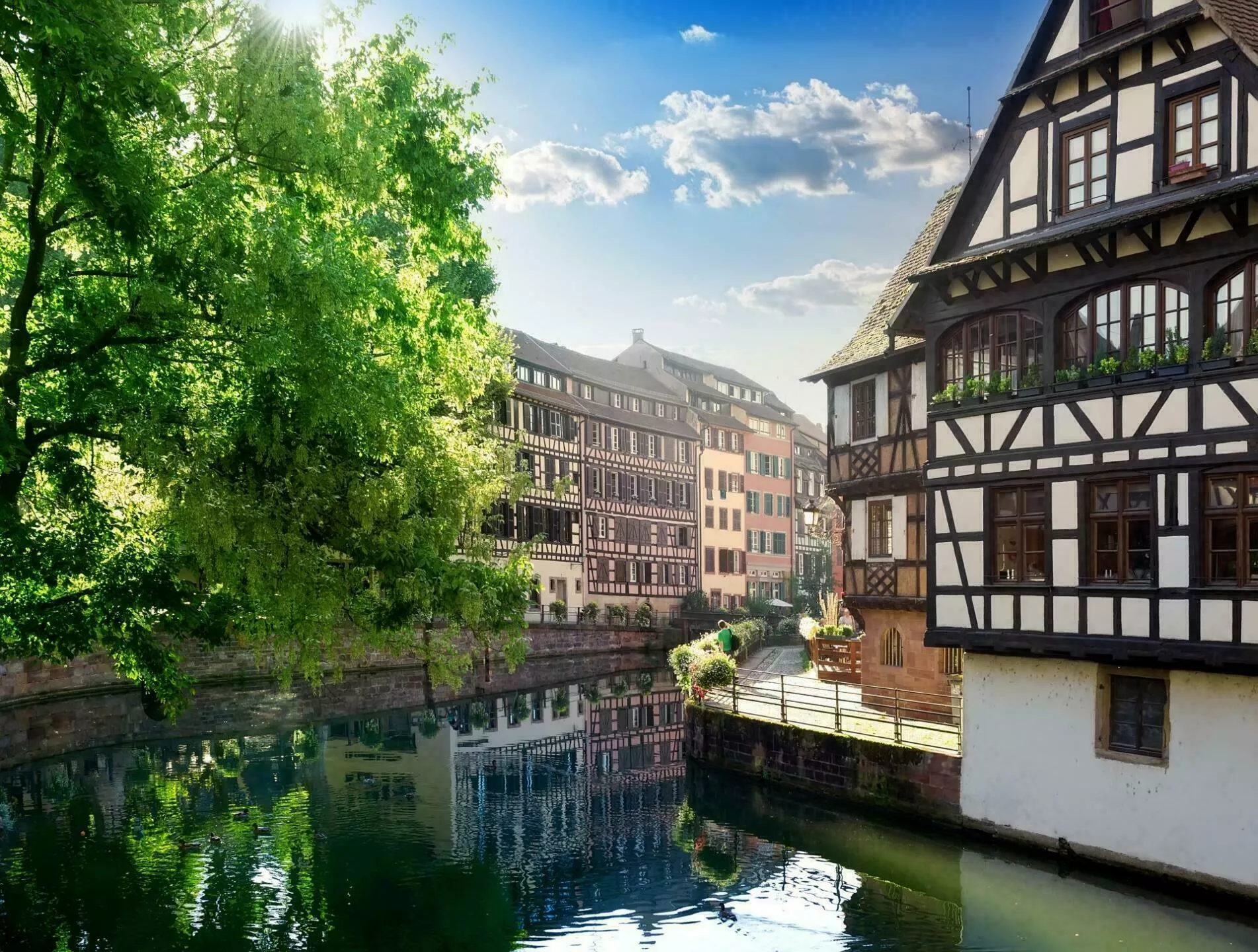 Discover Strasbourg's Culinary Heritage on a Strasbourg Food Tour