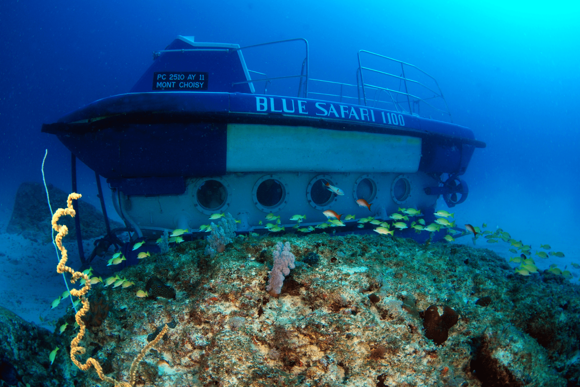 Submarine Mauritius – Trou-aux-Biches Dive