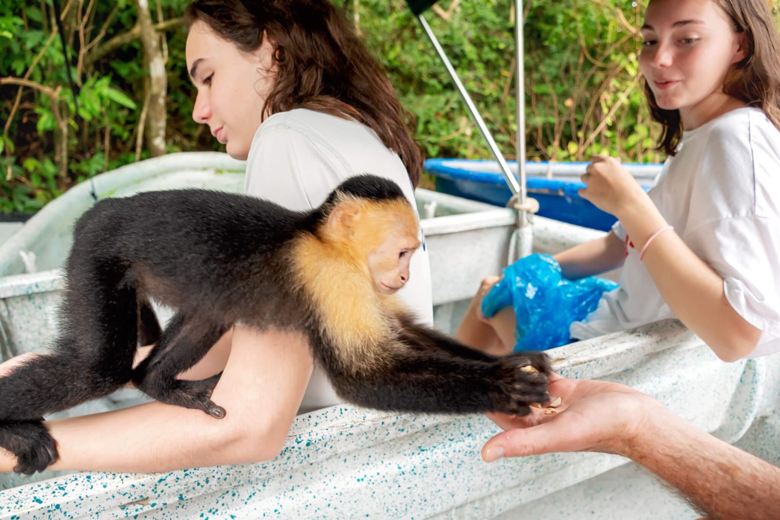 Monkey Island Tour Panama