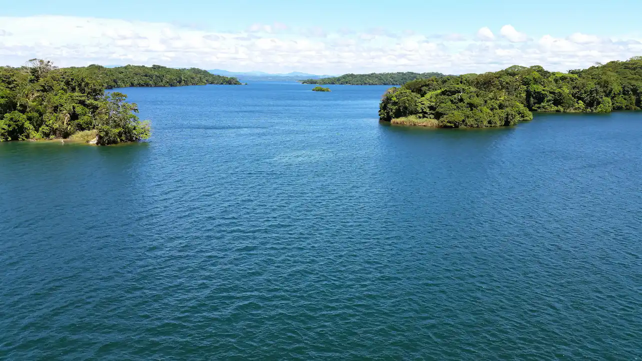 Tour a la Isla de los Monos en Panamá en el Lago Gatún