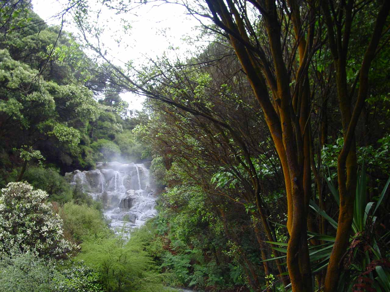 Kakahi Falls