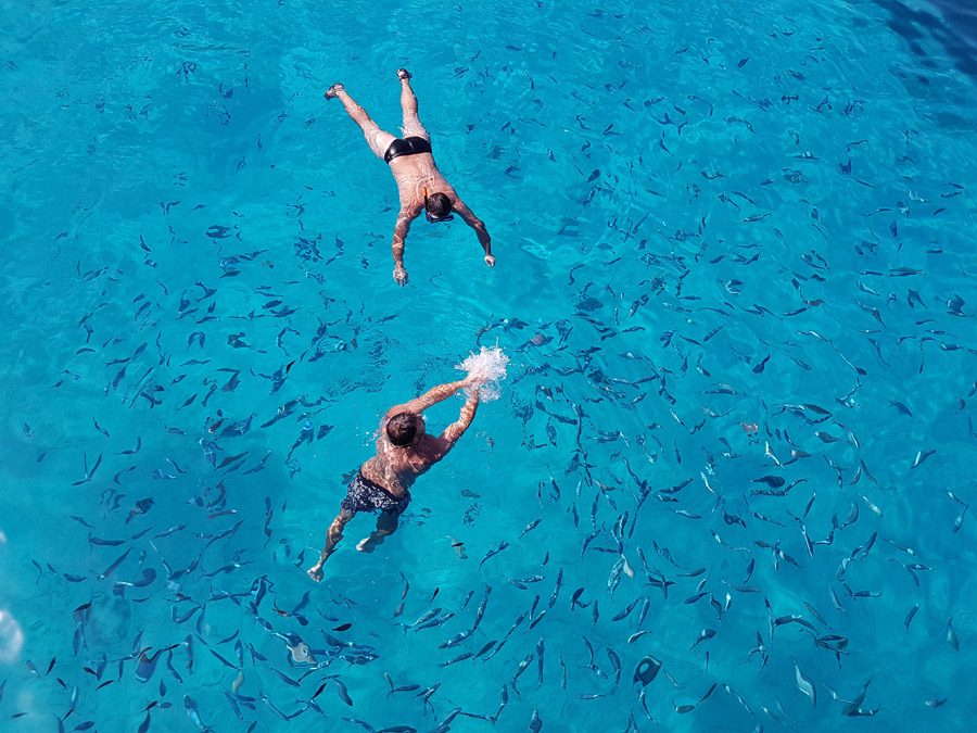 Your experience at Sivota Blue Lagoon Boat Trip