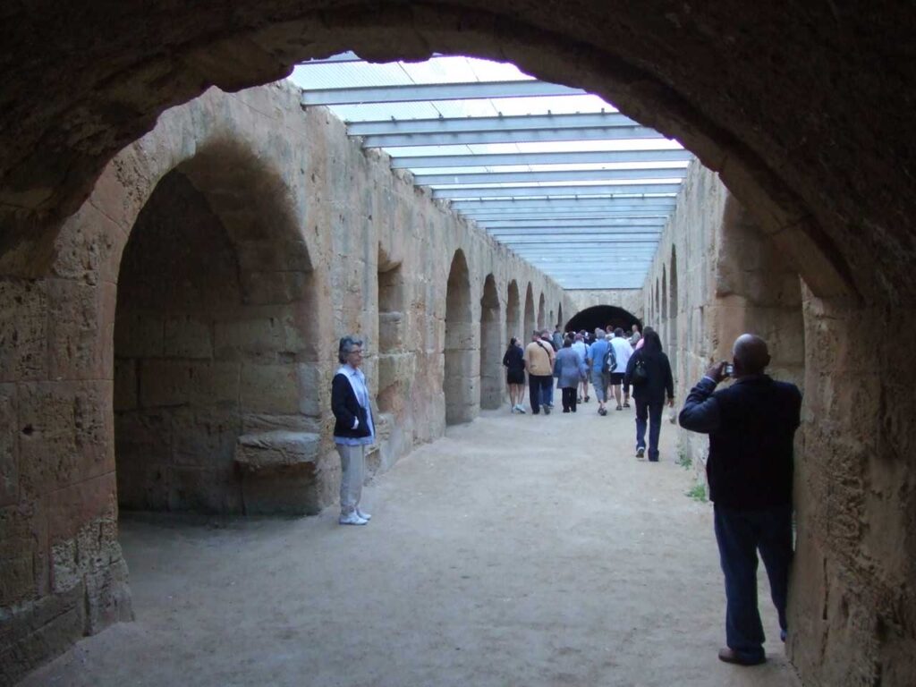 Arena Floor
