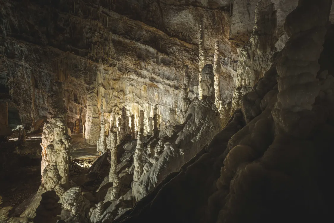Silent Cave