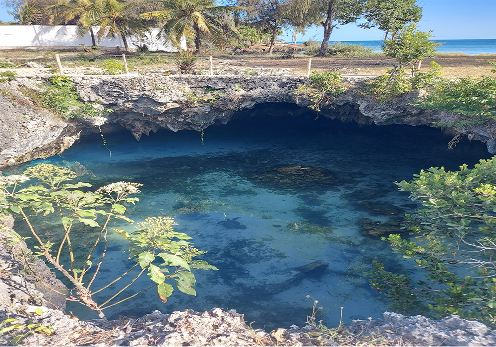Swim with Turtles Zanzibar at Salam Cave