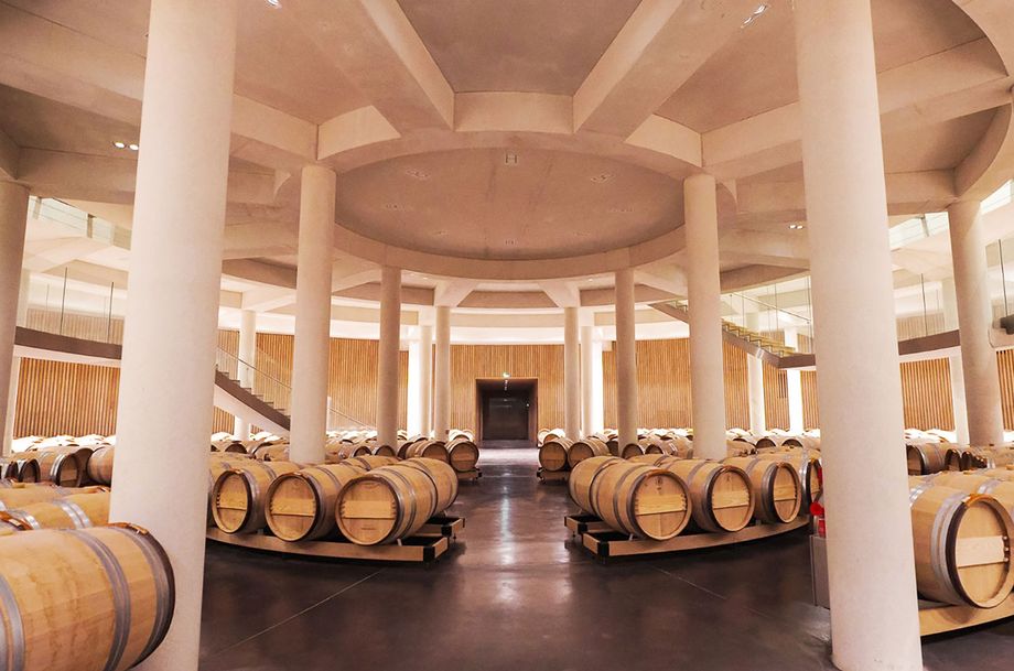 Your experience at Lucca Wine Tasting
