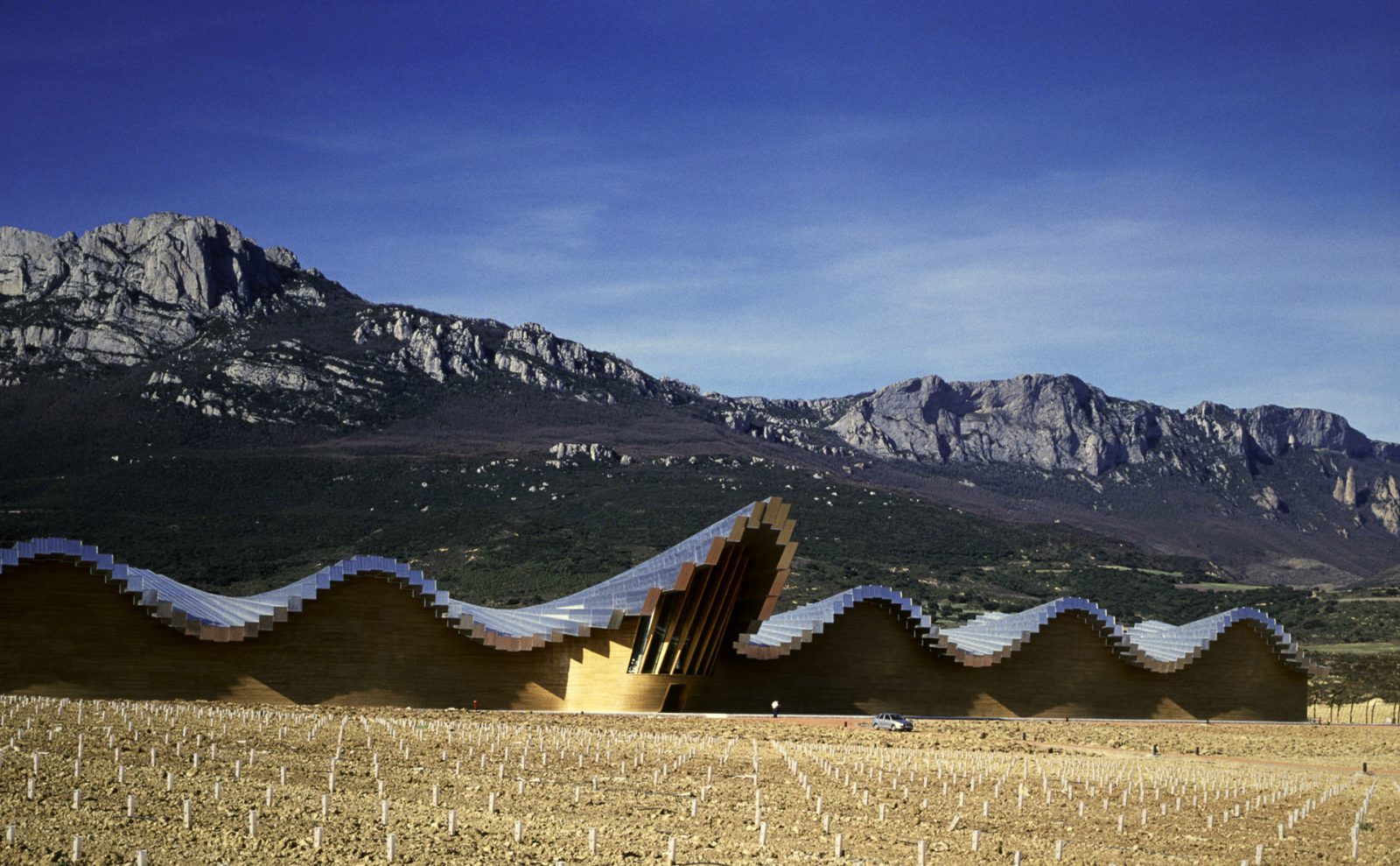 Rioja Wine Tour from Bilbao Experience